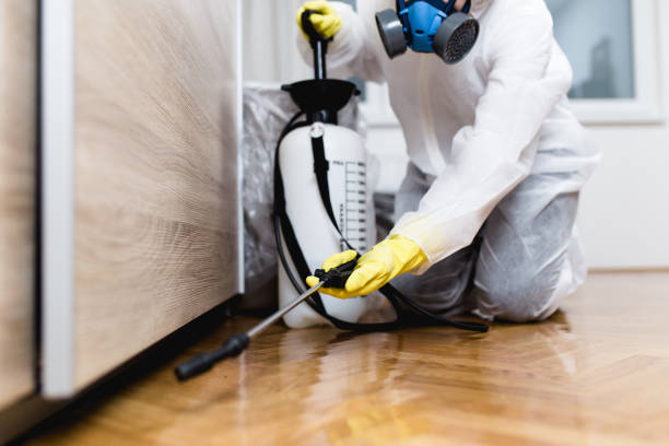 Trusted Briarcliff, TX Pest Control Experts
