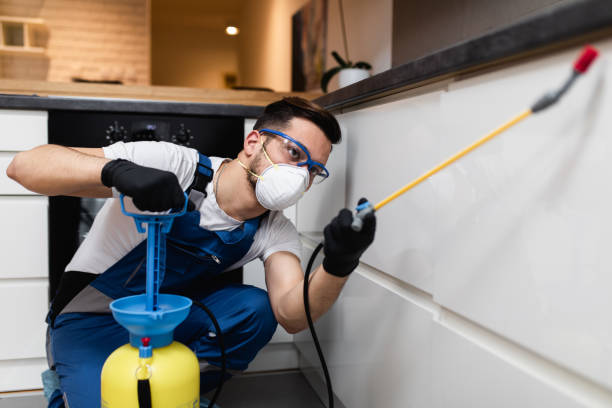 Best Affordable Pest Control Services  in Briarcliff, TX