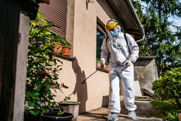 Best Rodent Control Near Me  in Briarcliff, TX