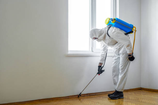 Best Affordable Pest Control Services  in Briarcliff, TX