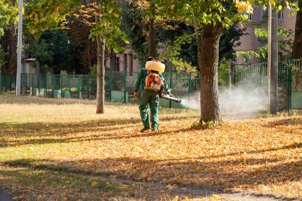 Best Spider Control Near Me  in Briarcliff, TX