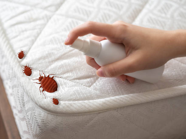 Best Pest Prevention Services  in Briarcliff, TX